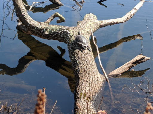 State Park «Breakheart Reservation», reviews and photos, 177 Forest St, Saugus, MA 01906, USA