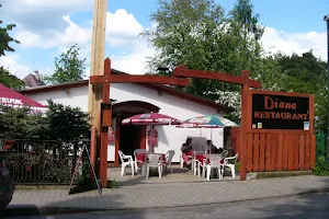 Penzion restaurant Diana Máchovo jezero image