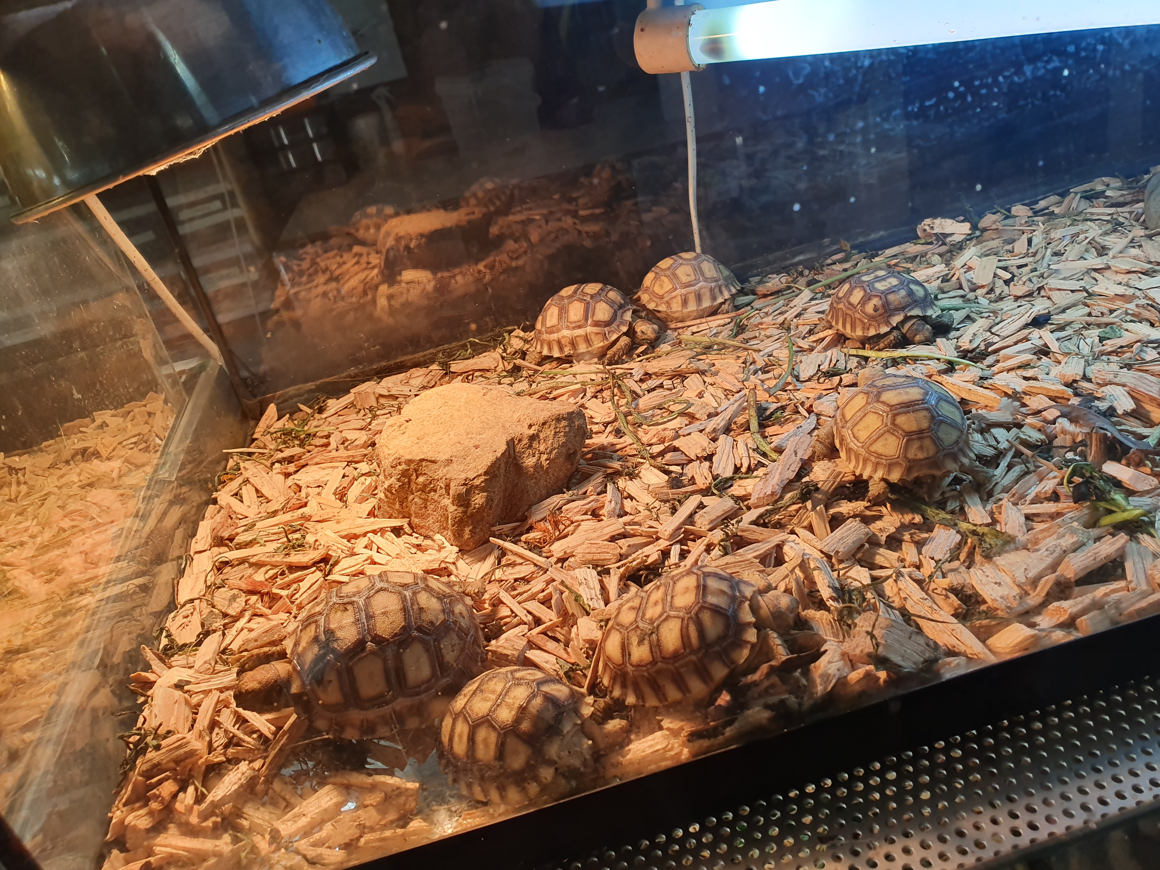 Photo n° 9 de l'avis de Laetitia.o fait le 20/10/2019 à 17:56