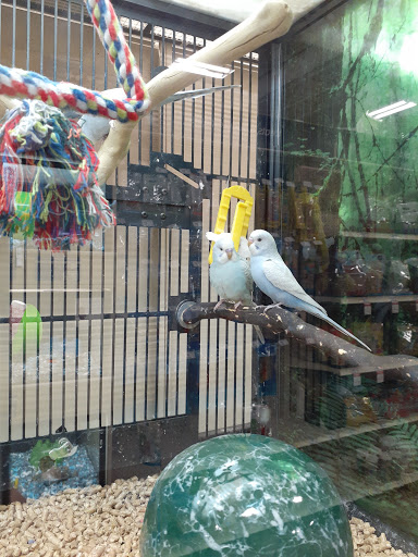 Pet Supply Store «PetSmart», reviews and photos, 1183 Berkshire Blvd, Wyomissing, PA 19610, USA