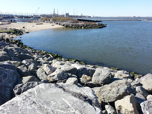 Park «Brooklyn Bridge Park», reviews and photos, 334 Furman St, Brooklyn, NY 11201, USA