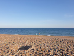 Foto van Shoreham beach wilde omgeving