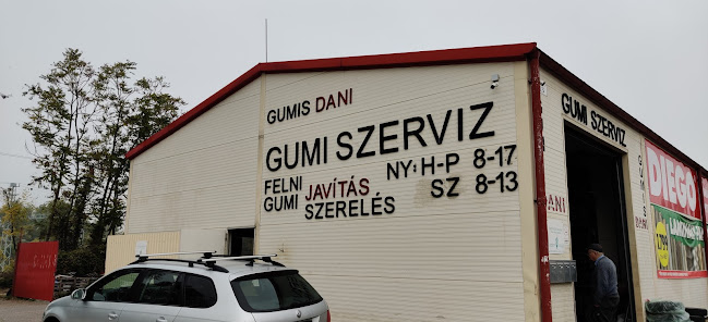 Gumis Dani Gumiszervíz