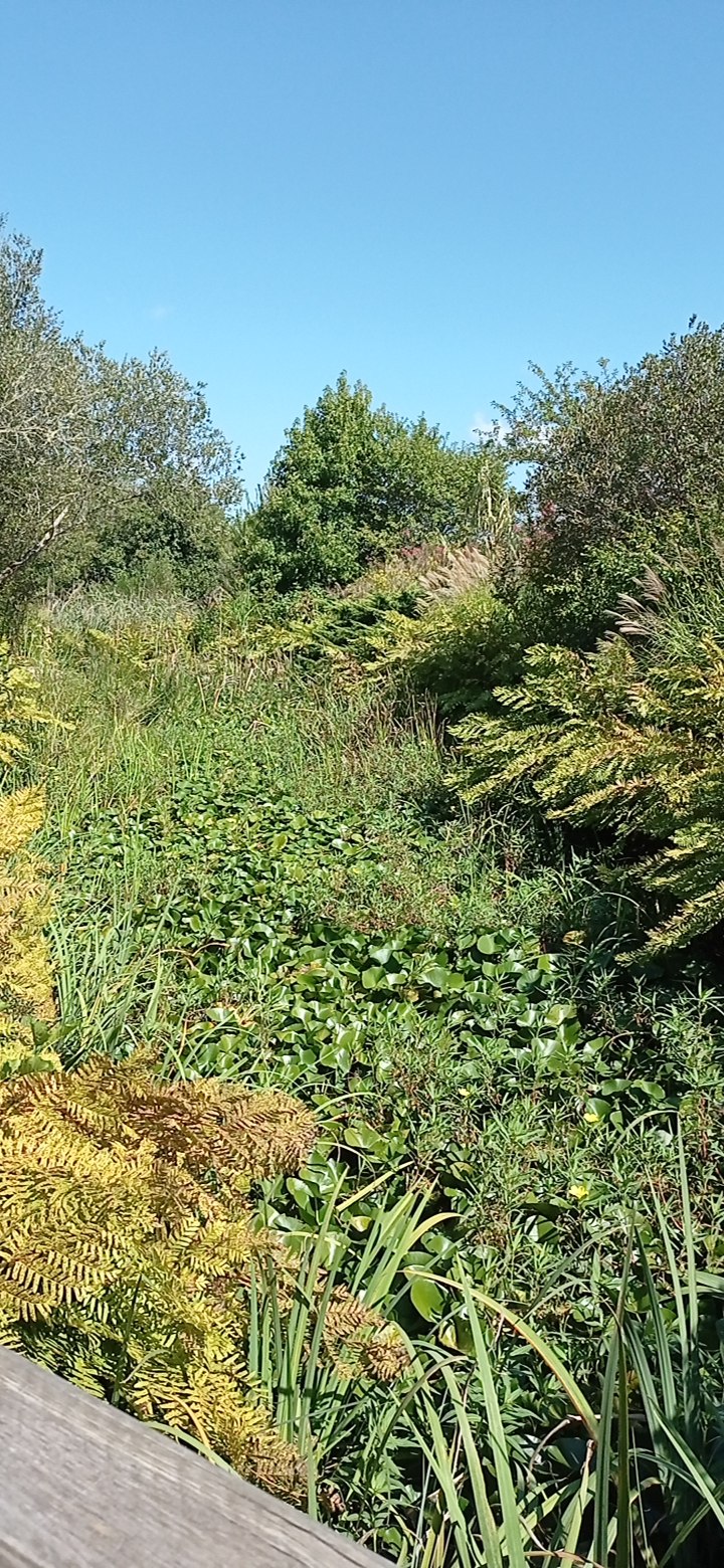 Photo n° 5 de l'avis de Christine.u fait le 16/09/2022 à 13:13