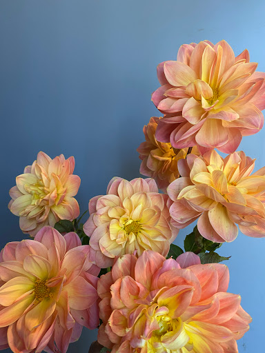 Florist «E & E Flowers & Decors», reviews and photos, 1090 Amboy Ave, Edison, NJ 08837, USA