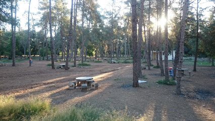 DSİ-Çamlık Piknik Alanı