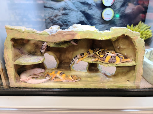 Pet Supply Store «Petco Animal Supplies», reviews and photos, 7215 170th Ave NE #115, Redmond, WA 98052, USA