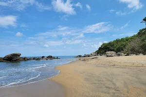 Playa Carricitos image