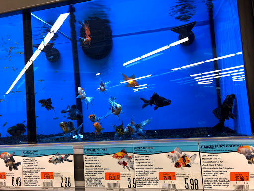 Pet Supply Store «Pet Supplies Plus», reviews and photos, 12407 MoPac Expy 525 - B, Austin, TX 78758, USA