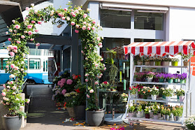 Valse des Roses - Rosen und Orchideen (Zürich)