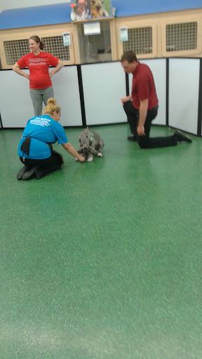 Pet Supply Store «Petco Animal Supplies», reviews and photos, 753 53rd Ave NE, Fridley, MN 55421, USA