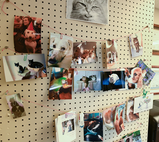 Pharmacy «Pine Pharmacy at Twelve Corners», reviews and photos, 1832 Monroe Ave, Rochester, NY 14618, USA