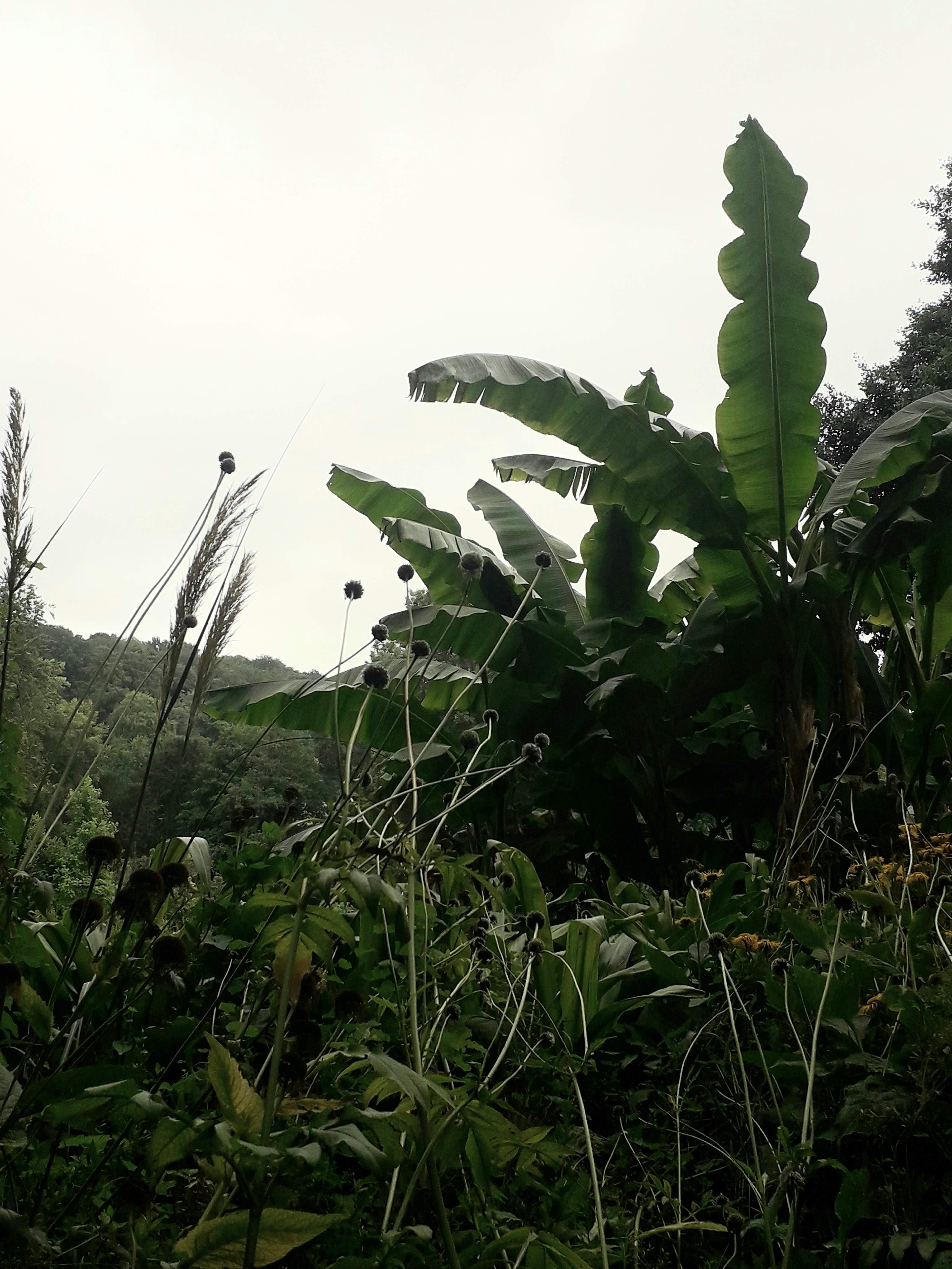 Photo n° 22 de l'avis de Le.o fait le 22/07/2022 à 15:09