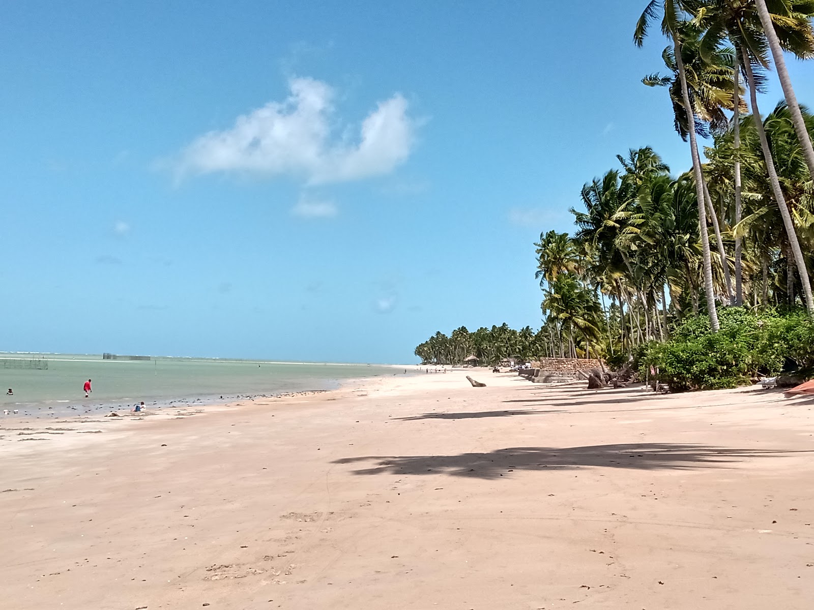 Foto de Playa de Peroba con agua cristalina superficie