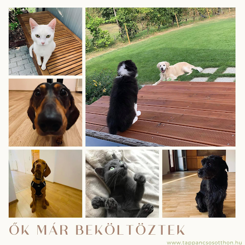 Rent with Paws - Tappancsos Otthon