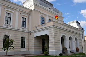 Vasile Parvan Museum Barlad image