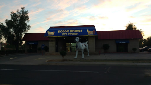 Shopping Mall «Paradise Valley Mall», reviews and photos, 4568 E Cactus Rd, Phoenix, AZ 85032, USA