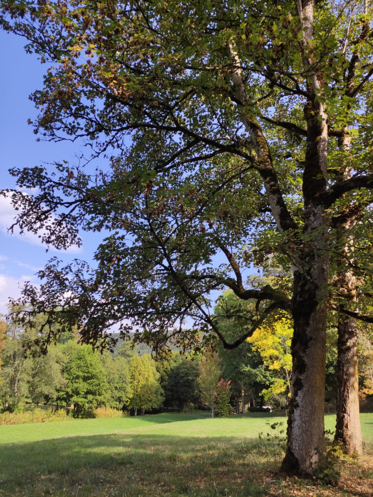 Photo n° 5 de l'avis de Laurent.u fait le 22/09/2020 à 13:44