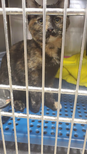 Pet Supply Store «Petsense Corinth», reviews and photos, 1663 Virginia Ln, Corinth, MS 38834, USA