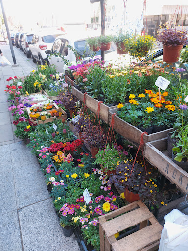 VERDE JARDÍN