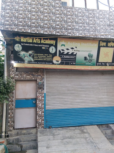 Shree Martial Arts Academy