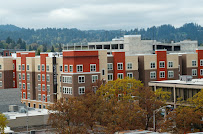 Zirkle, Long & Associates, CPA - Photo 3 - Car repair in Eugene, OR, Eugene