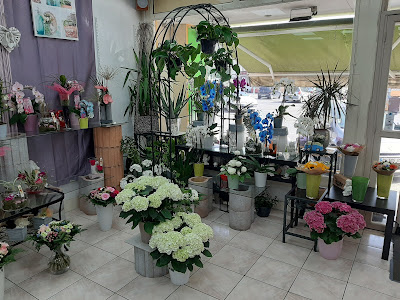 Viva Fleurs à Le Mans