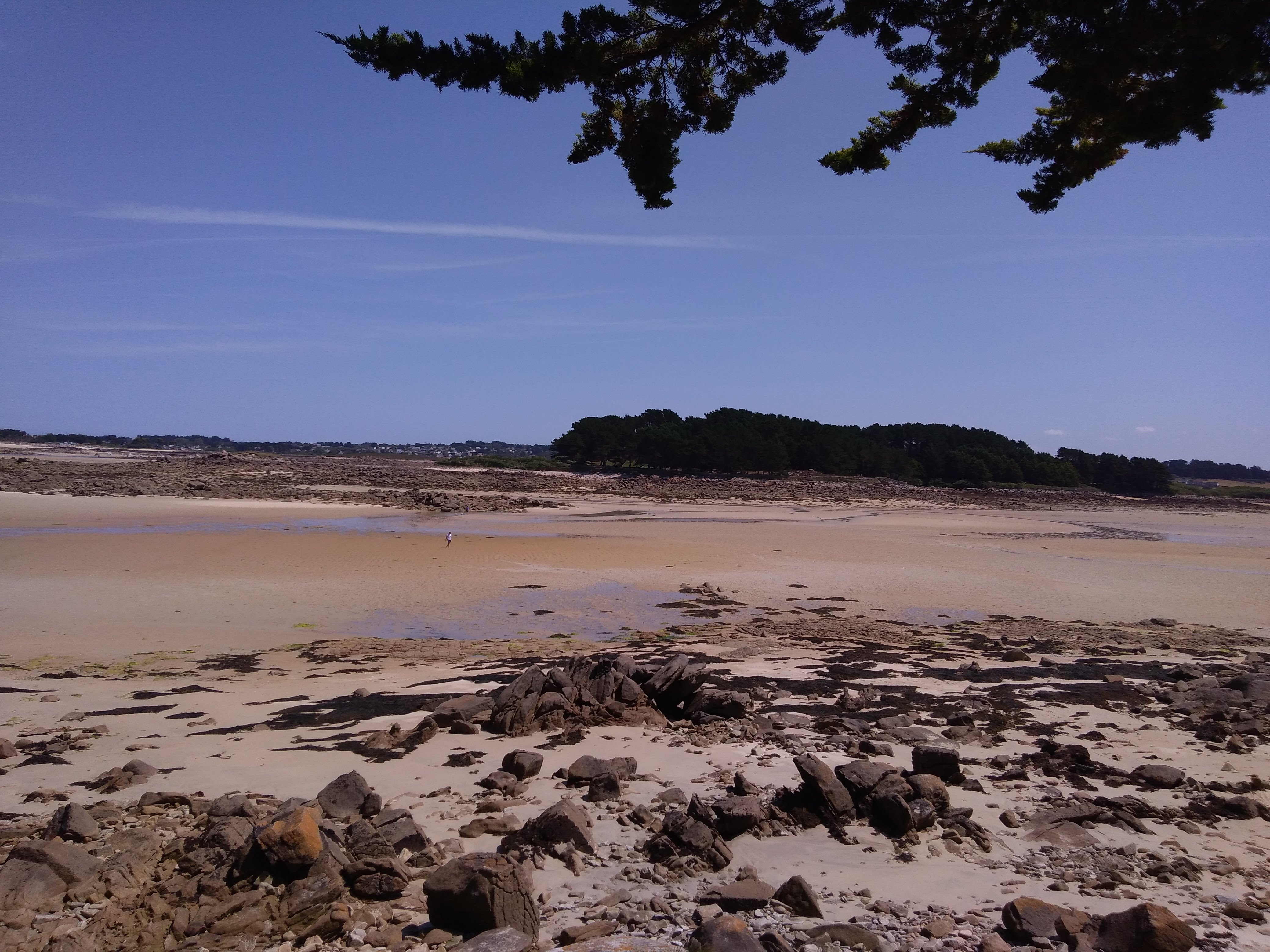 Photo n° 8 de l'avis de Francois.u fait le 26/07/2019 à 16:45