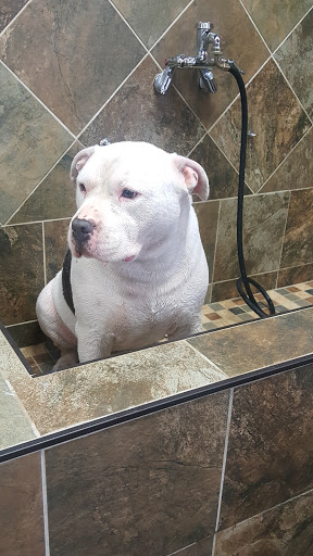 Pet Supply Store «Pet Valu», reviews and photos, 1611 Boston Post Rd, Milford, CT 06460, USA