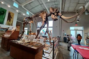 Fossil Discovery Center of Madera County image