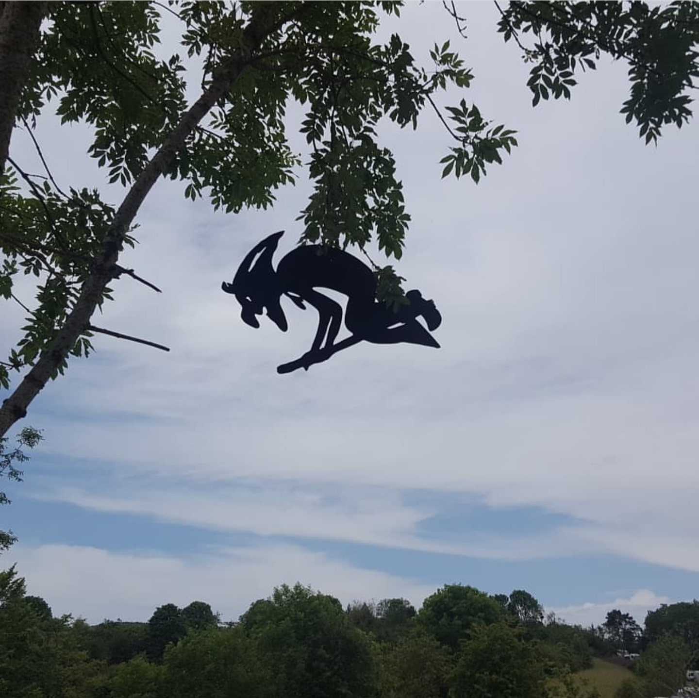 Photo n° 1 de l'avis de Cindy.o fait le 12/06/2019 à 08:07