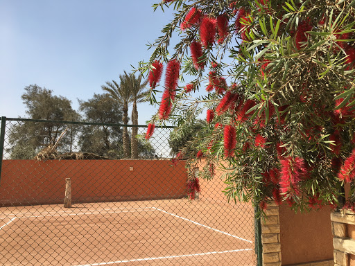 Public psychiatric clinics Cairo