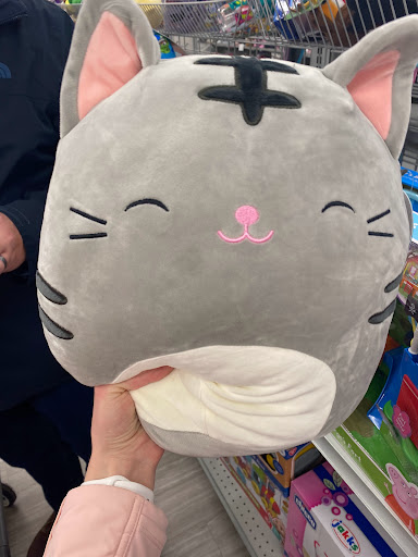 Shopping Mall «Oakdale Village Shopping Center», reviews and photos, 8301 3rd St N, St Paul, MN 55128, USA