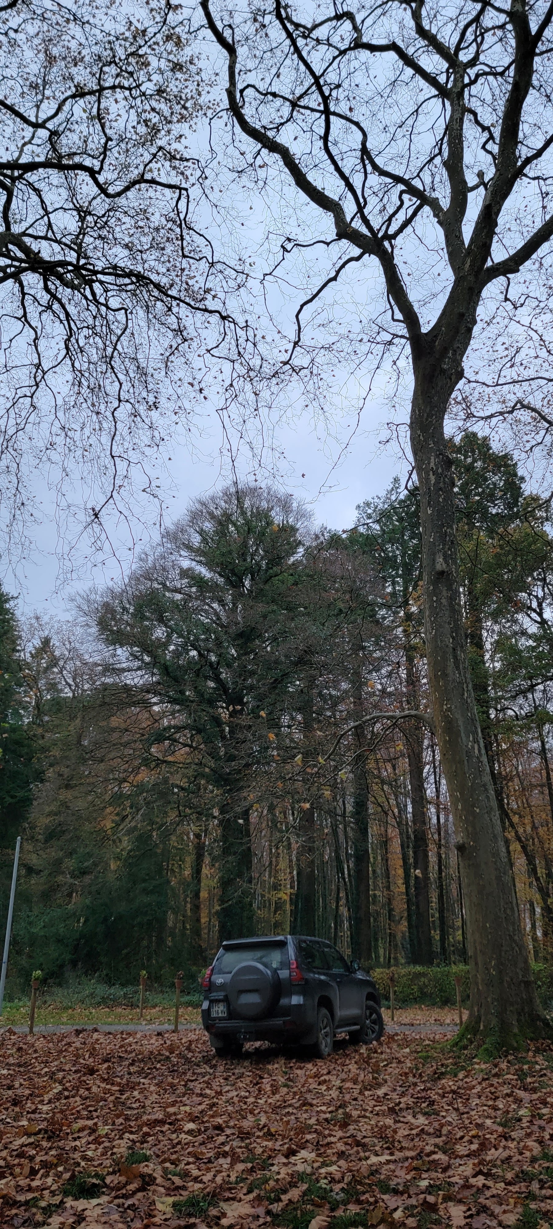 Photo n° 4 de l'avis de Théo.C fait le 06/12/2023 à 12:29