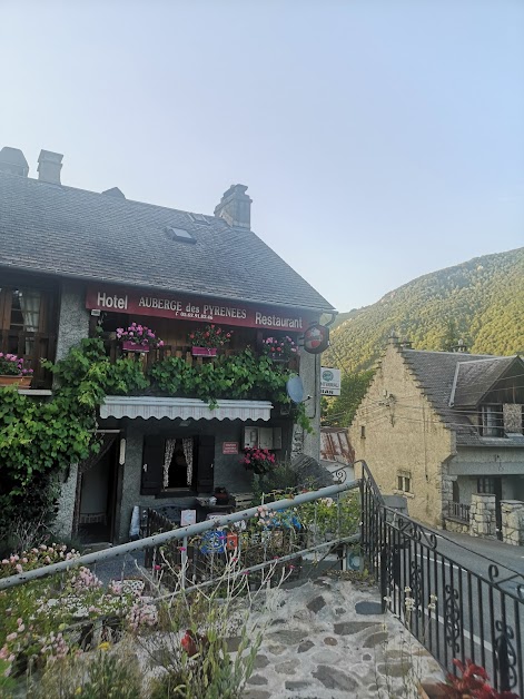 Les Frênes à st marie de Campan (Hautes-Pyrénées 65)