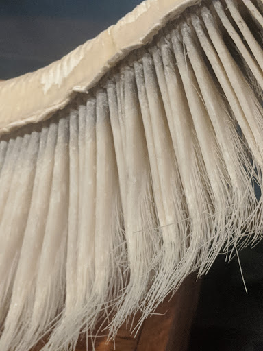 Museum «The Whale Museum», reviews and photos, 62 1st St, Friday Harbor, WA 98250, USA