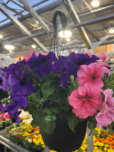 Home Improvement Store «The Home Depot», reviews and photos, 1781 E Bayshore Rd, East Palo Alto, CA 94303, USA