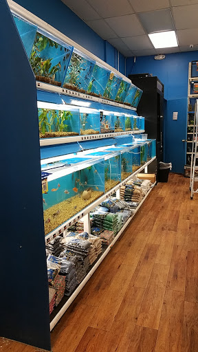 Pet Supply Store «Pet Supermarket», reviews and photos, 1800 W 68th St #140, Hialeah, FL 33014, USA