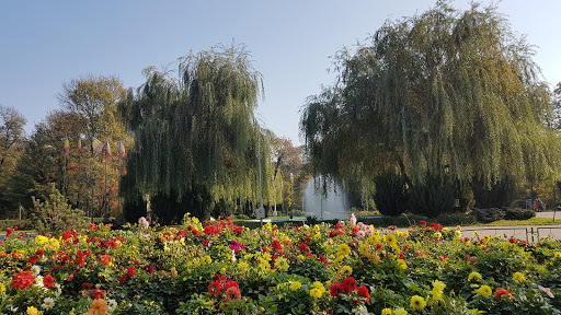 Bazilescu Park