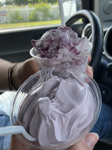 Ice Cream Shop «Blueberry Hill Dairy Bar», reviews and photos, 355 High St, Ellsworth, ME 04605, USA