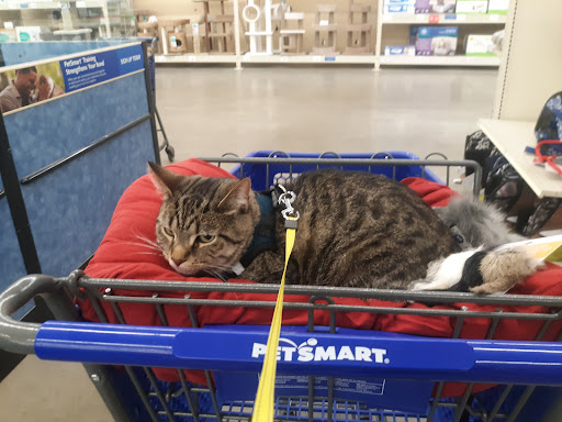 Pet Supply Store «PetSmart», reviews and photos, 36395 Euclid Ave, Willoughby, OH 44094, USA