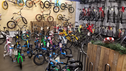 Bicycle Store «Sun & Ski», reviews and photos, 2943 Preston Rd #1400, Frisco, TX 75034, USA