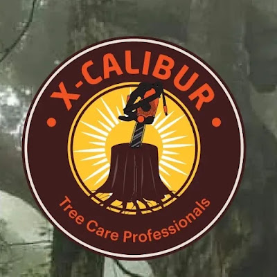We had such an amazing experience with X-Calibur Tree and Stump Services