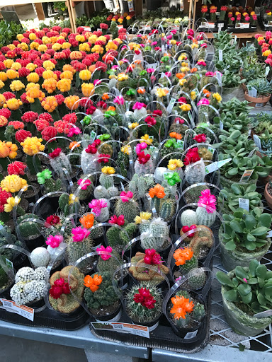 Home Improvement Store «The Home Depot», reviews and photos, 400 Commerce Blvd, Fairless Hills, PA 19030, USA