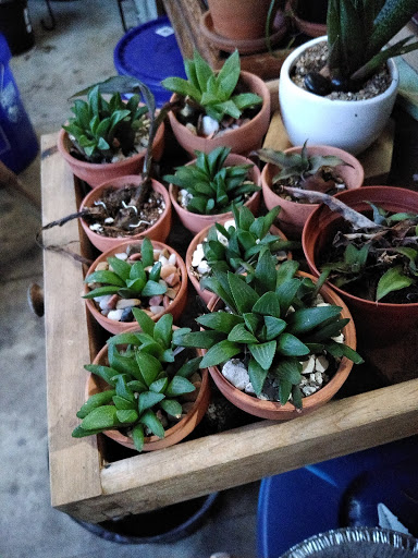 Hardware Store «Ace Hardware», reviews and photos, 3636 S Washington Ave, Titusville, FL 32780, USA