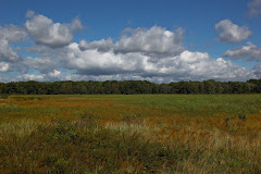 Audubon Community Nature Center