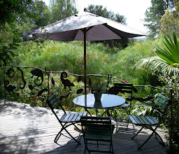 Misty Hills Country Hotel, Conference Centre & Spa photo
