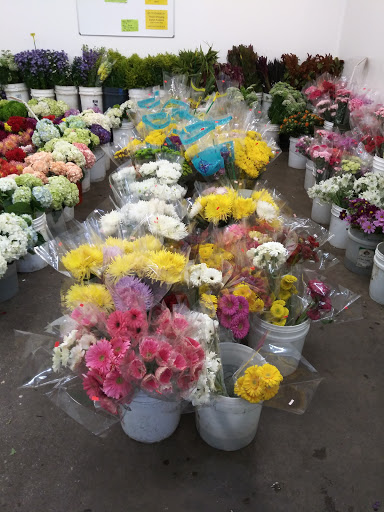 Garden Center «Repetto Florist and Nursery», reviews and photos, 12331 San Mateo Rd, Half Moon Bay, CA 94019, USA