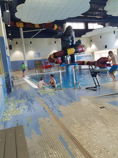 Community Center «Huron Valley Pools and Fitness, Milford», reviews and photos, 2380 S. Milford Road, Highland, MI 48357, USA