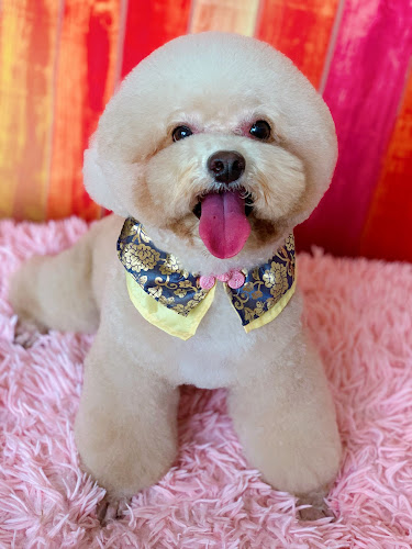 403 Sembawang Rd, Singapore 758384